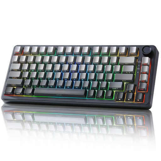 YUNZII B75 75% 有線 メカニカルキーボード ホットスワップ対応 ガスケット搭載 RGBバックライト 高耐久 英語配列 PBTキーキャップ チェリープロファイル Win/Mac用 (グラデーション・ブラック, R…