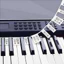 ピアノキーボード音符ラベルカラフルなピアノキーステッカー初心者のためのシリコーンリムーバブル再利用可能なピアノキーボードステッカー88キーフルサイズ(カラフル)