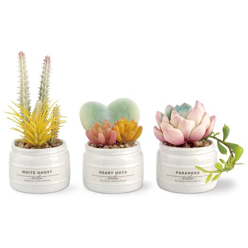 キシマ(Kishima)エクリア消臭アーティフィシャルグリーングリーンサイズ:約W18.5D7H13KH-61188