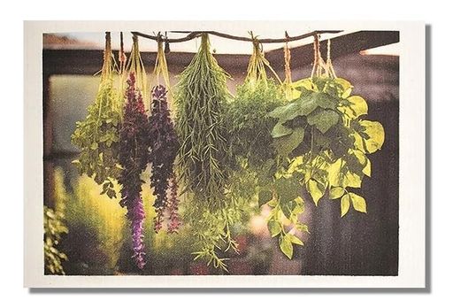 天然繊維吸水性ドイツのフキンPhotoハーブ