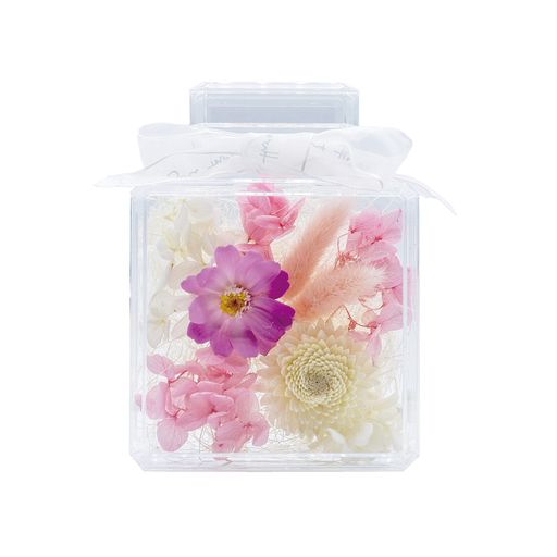 パセオパフュームフラワーPKジニアKD-156PK