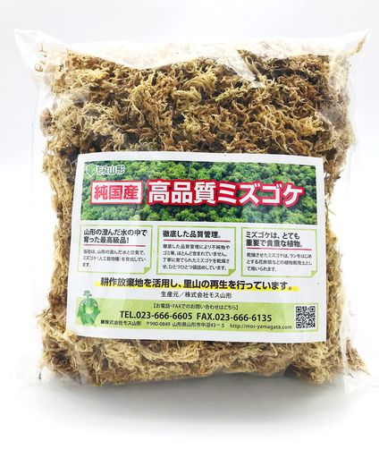 モス山形 山形特産 乾燥水苔 40g CRA-15 緑
