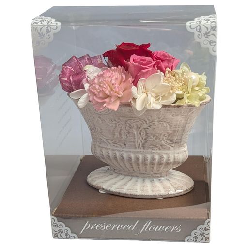 ���塼�ե�(Q-FLA)�ץꥶ���֥ɥե���ޡ����奢��󥸥����������������������ե�£��ʪ781391