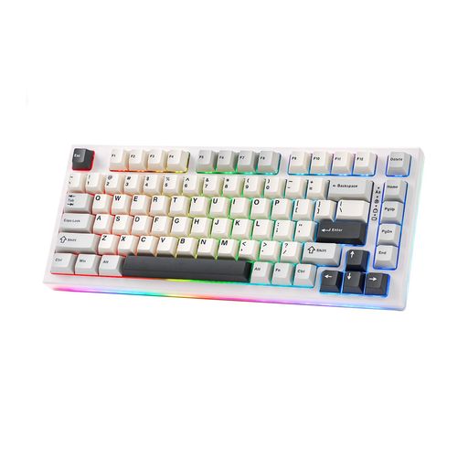 YUNZII YZ75 75% ホットスワップ対応ワイヤレスゲーミングキーボード RGBバックライト BT5.0/2.4G/USB-C、Dye Sub PBTキーキャップ Linux/Win/Mac用 技適認証取得 (ホワイト, ガテロンプロ イエロー軸)