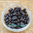 ウガンダ産 ローカカオニブホール 生 無添加 55g /120g スーパーフード 高ポリフェノール ご褒美 プレゼント プチギフト 種類 豊富 ナッツ専門店 ブ...