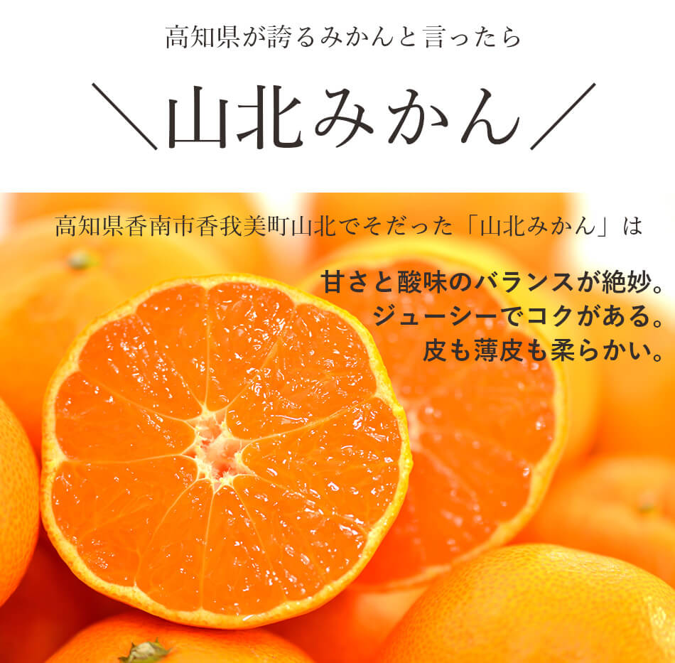 みかんチップス 高知産 ドライフルーツ 砂糖不使用 無添加 山北みかん 15g ご褒美 プチギフト ドライフルーツ専門店 ブランド ハッピーナッツカンパニー 湘南鎌倉・横浜