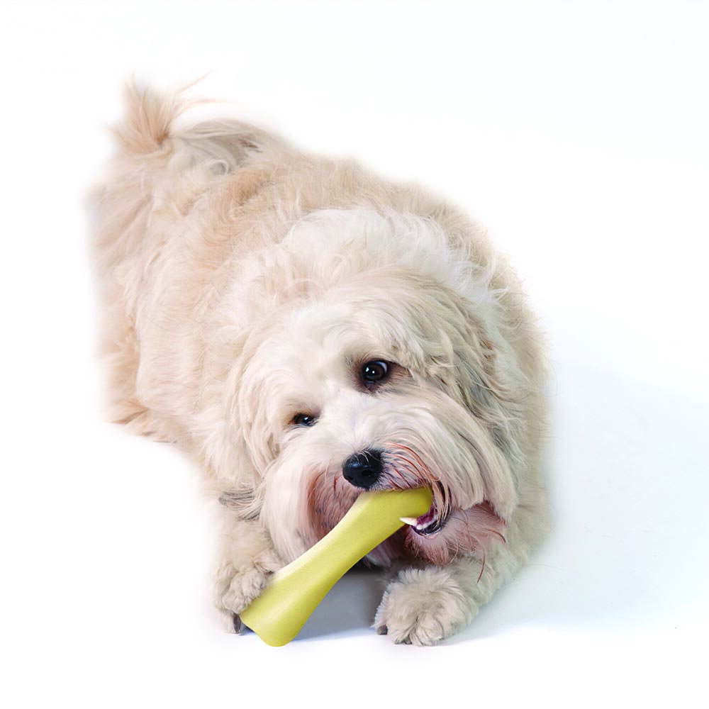 ��Petstages�������󡦥ܡ��� �ߥǥ�����