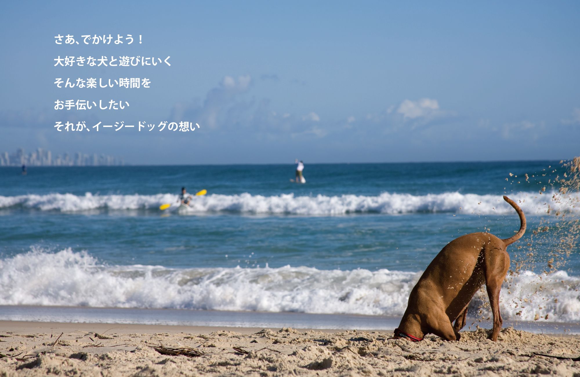 ■EZYDOG DFDブーストイエロー　M 3