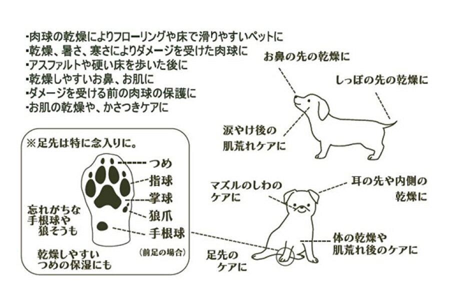 ����LENEEM�ۥ������˥å��ѥ��������ƥ��å� 3.5g��