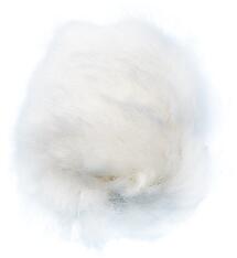 ���٥ӡ� �ե����ܡ��� ��