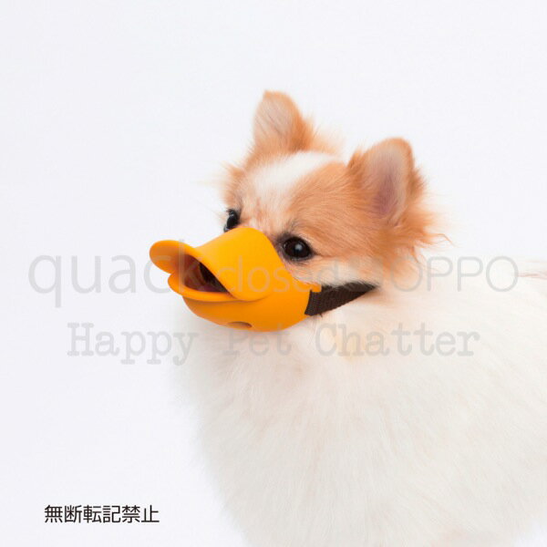 Happy Pet Chatter㤨֢OPPOquackclosed[å]SפβǤʤ2,860ߤˤʤޤ