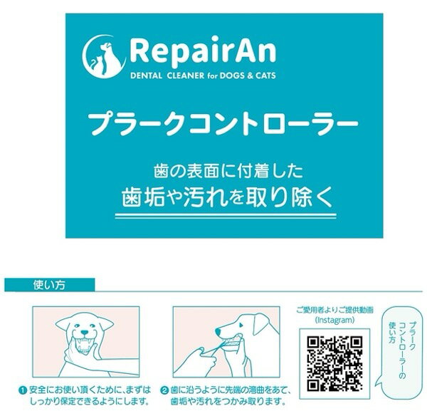 ��RepairAn �ץ顼������ȥ����顼��