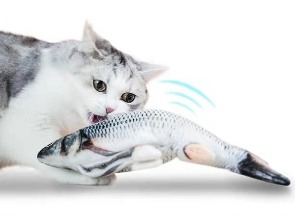 �����󥷥󥰥ե��å��塡������ ��