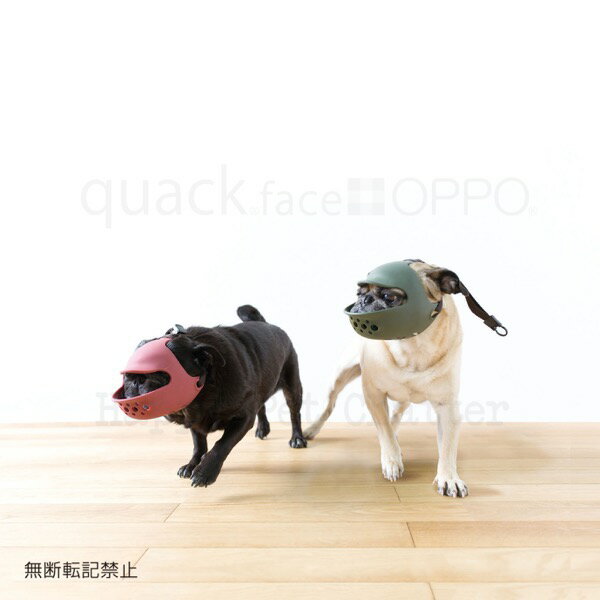 楽天Happy Pet Chatter■OPPO　quack　face○