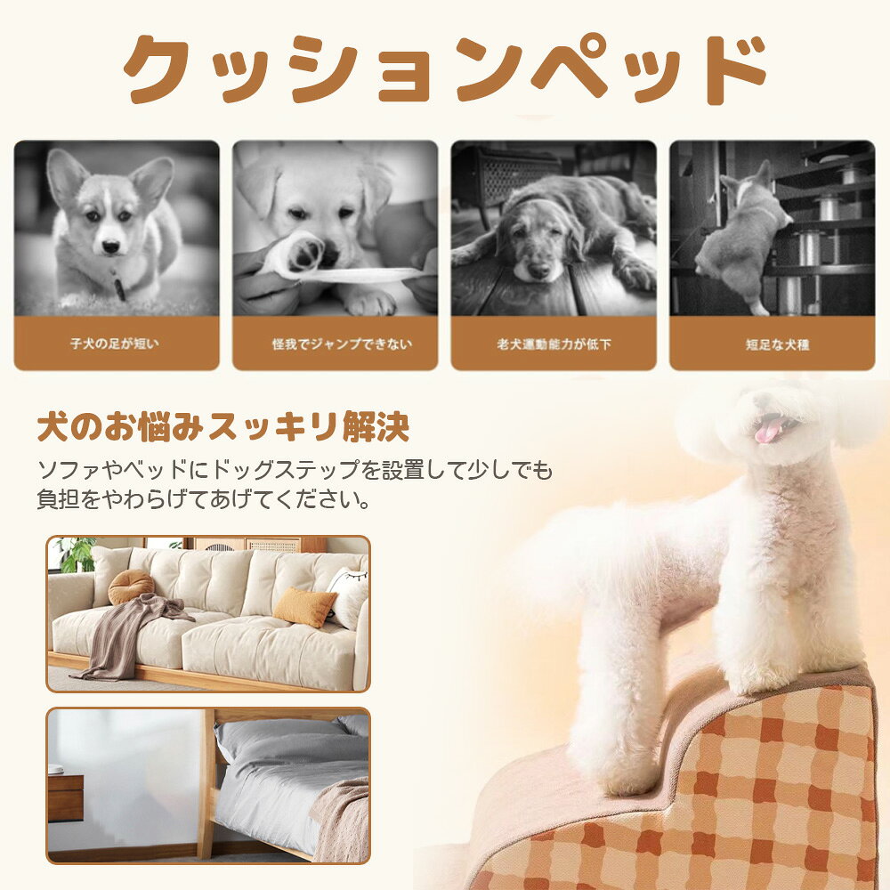 サンプル画像2