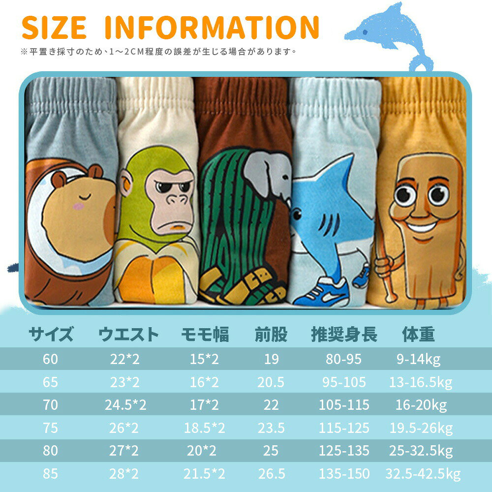 イタリアンブレインロット Italian brainrot 5枚セット キッズ パンツ 下着 トゥン...