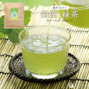 国産 緑茶 50包入り(ティーパック) 低カフェイン 妊婦さんでも飲める緑茶
