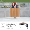 【SALE:7/11 20:00 - 7/19 01:59】アウトドアテーブル 120×64.5 軽量 卓球台