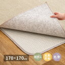 【SALE:7/11 20:00 - 7/19 01:59】ラグマット 下敷き 2畳用 170×170cm 防音 アンダーラグ 滑り止め ホットカーペット・床暖対応