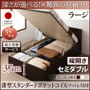 【SALE:5/1 10:00 - 5/8 01:59】(組立設置付) 跳ね上げ式ベッド セミダブル マットレス付き 薄型スタンダードポケットコイル 縦開き・深さラージ(3)