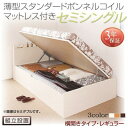 【SALE:5/1 10:00 - 5/8 01:59】(組立設置付) 国産跳ね上げ収納ベッド セミシングル マットレス付き 薄型スタンダードボンネルコイル 横開き 深さレギュラー(3)