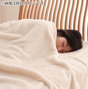 【P10倍：10/14 20:00 - 10/17 09:59】毛布 ダブル 冬用・暖かい マイクロファイバー