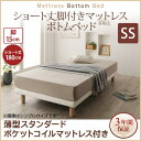 脚付きマットレスベッド セミシングルベッド 薄型スタンダードポケットコイルマットレス付き 脚15cm すのこ構造 コンパクト ショート丈ベッド