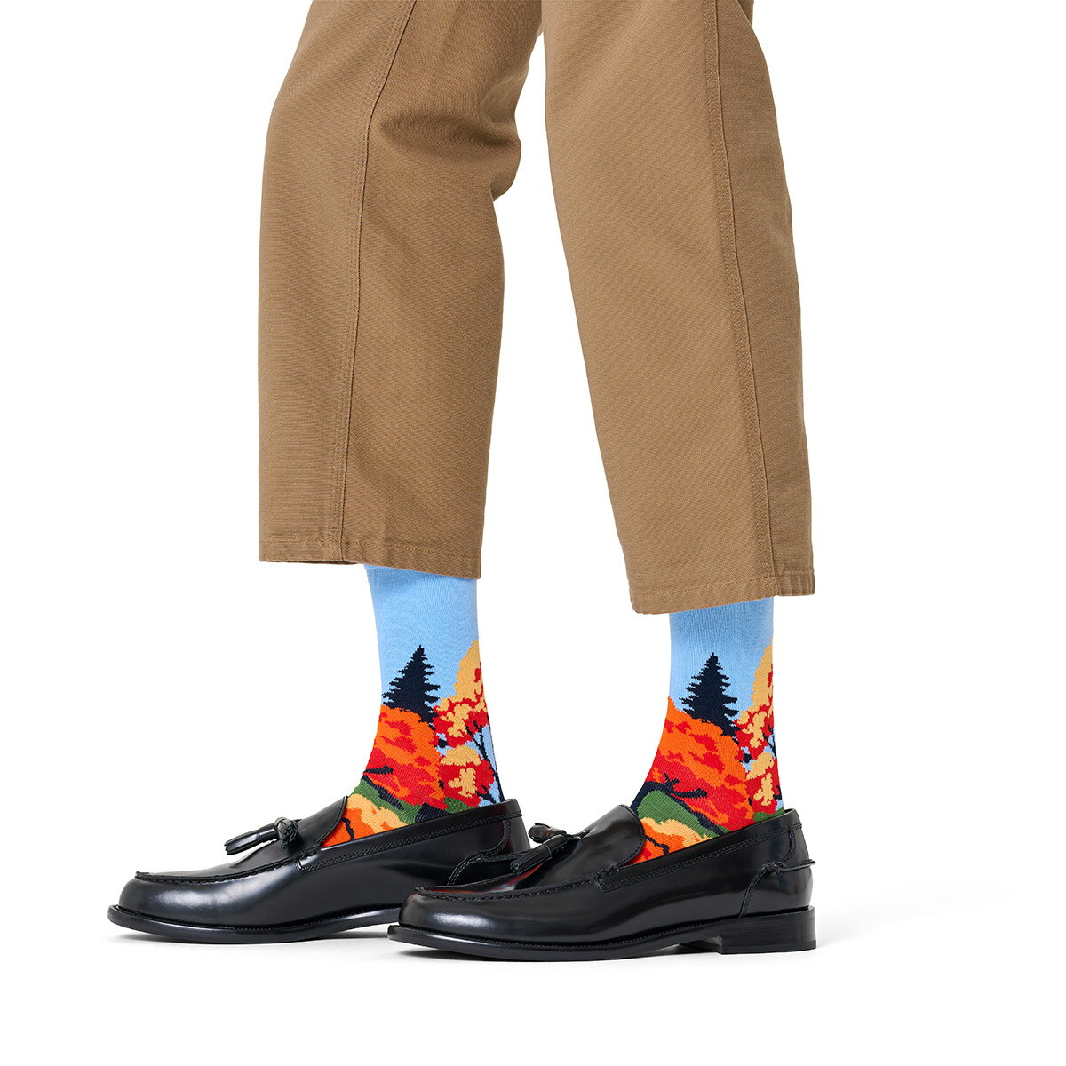 Happy Socks 公式 クルー丈 ソックス オータム / ハッピーソックス ソックス 靴下 ...