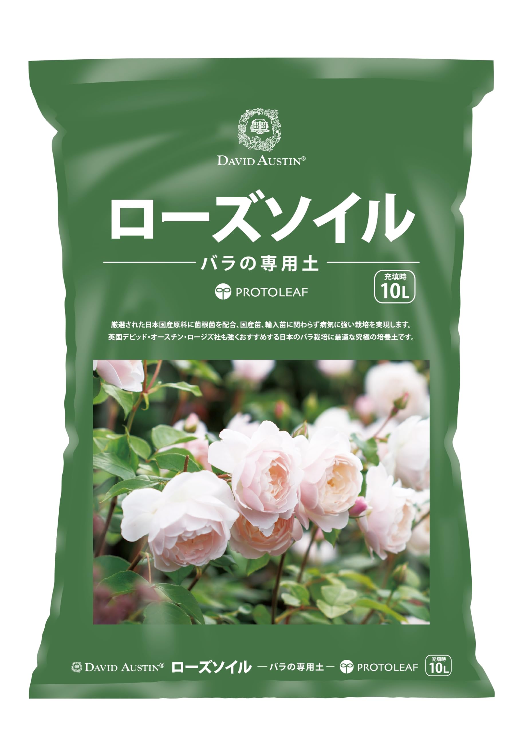 ・容量:10L
