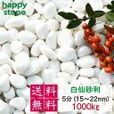 砂利 白 白玉砂利 白仙 最高級 5分 15-20mm 1000kg【送料無料・離島別途】ガーデニング DIY 墓 防犯 防草 ジャリ ビオトープ アクアリウム...