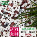 砂利 玉砂利 五色玉砂利 丸み抜群 3分 5分 8分 100Kg 庭 砂利 敷石 墓石まわり 化粧砂利 化粧石 丸石 ロックガーデン 庭石 ガーデンロック ガー...