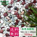 砂利 玉砂利 五色玉砂利 丸み抜群 3分 5分 8分 1000Kg 庭 敷石 墓石まわり 化粧砂利 化粧石 丸石 ロックガーデン 庭石 ガーデンロック ガーデニ...
