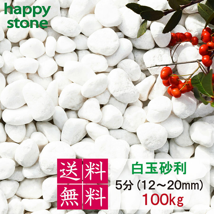 砂利 白 白玉砂利 玉砂利 5分 12-20mm 100kg 化粧石 化粧砂利 防犯 防草砂利 白玉石 砂利 玉石 玉砂利 白色 ガーデニング 造園 庭 和風 洋風 和庭 洋庭 庭園 白い石 雑草対策 ジャリ おしゃれ …