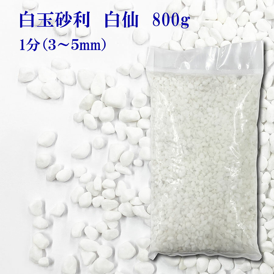 砂利　白　白玉砂利　白仙　最高級　1分　3-5mm　800g 〔 送料無料 ・離島別途〕 化粧石 化粧砂利 防犯 防草砂利 白玉石 砂利 玉石 玉砂利 白色 ガーデニング 造園 庭 和風 洋風 和庭 洋庭 庭園 白い石 雑草対策 ジャリ おしゃれ