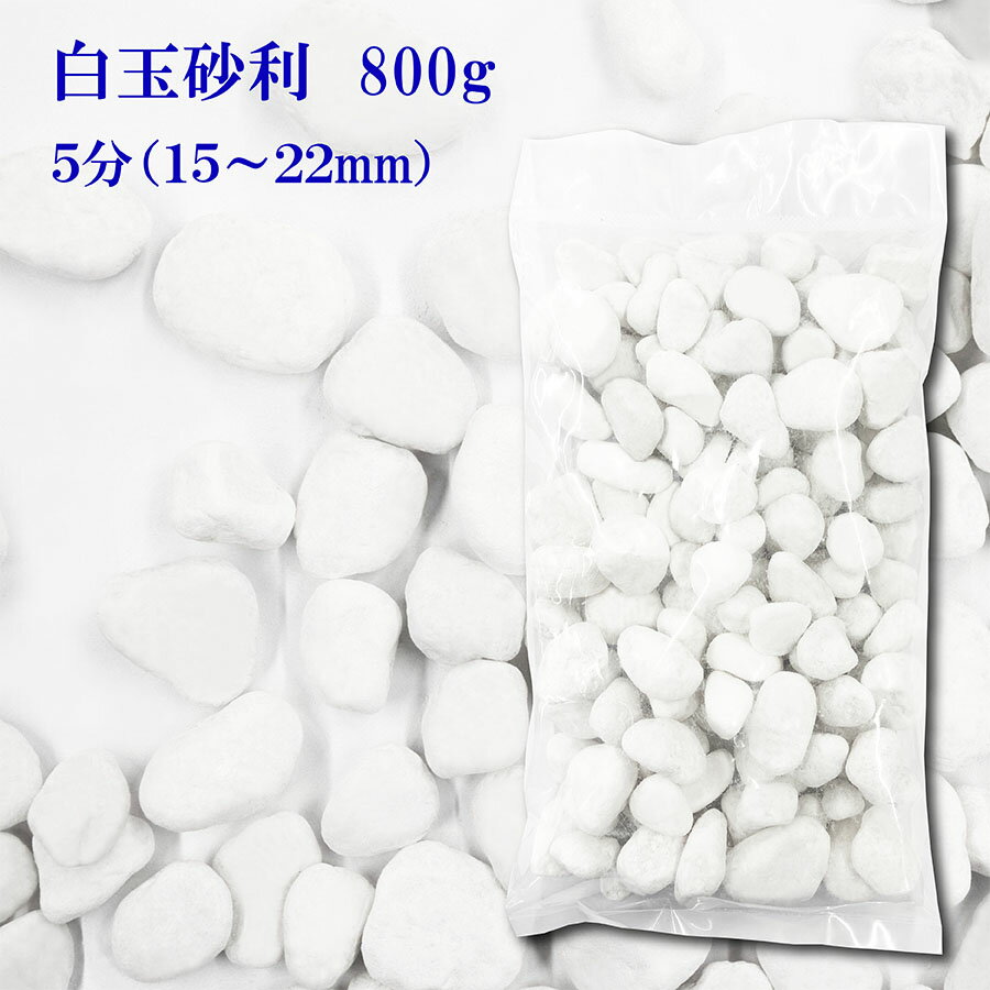 砂利　白　白玉砂利　玉砂利　 5分 　15mm〜22mm　 800g〔 送料無料 ・離島別途〕 化粧石 化粧砂利 防犯 防草砂利 白玉石 砂利 玉石 玉砂利 白色 ガーデニング 造園 庭 和風 洋風 和庭 洋庭 庭園 白い石 雑草対策 ジャリ おしゃれ　代引不可