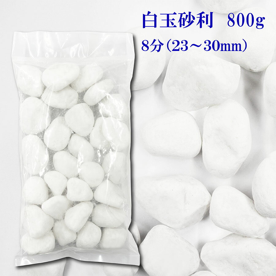 砂利　白　白玉砂利　玉砂利　8分　23-30mm　800g〔 送料無料 ・離島別途〕 化粧石 化粧砂利 防犯 防草砂利 白玉石 砂利 玉石 玉砂利 白色 ガーデニング 造園 庭 和風 洋風 和庭 洋庭 庭園 白い石 雑草対策 ジャリ おしゃれ　代引不可