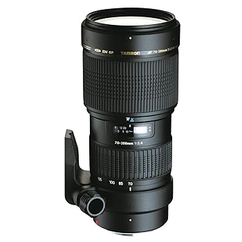 ϥåԡȥƣ㤨֡šTAMRON ˾󥺡 SP AF70-200mm F2.8 Di Υ ե륵б A001EפβǤʤ97,600ߤˤʤޤ