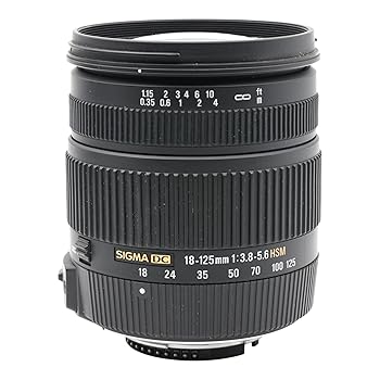 【中古】シグマ 18-125mm F3.8-5.6 DC OS HSM ニコン用 18-125mm F3.8-5.6 DC OS HSM NA 【中古】シグマ 18-125mm F3.8-5.6 DC OS HSM ニコン用 18-125mm F3.8-5.6 DC OS HSM NA
