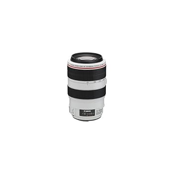【中古】Canon EFレンズ EF70-300mm F4-5.6L IS USM ズームレンズ 望遠