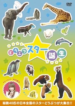 【中古】動物スター誕生! [DVD]