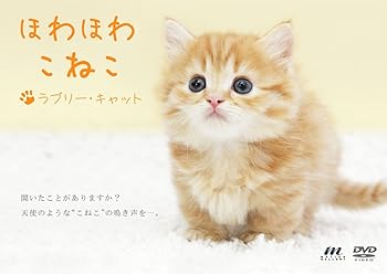 【中古】ほわほわこねこ ラブリー・キャット [DVD]