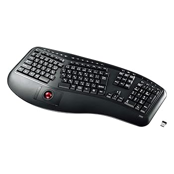 【中古】サンワサプライ エルゴノミクスキーボード SKB-ERG6BK