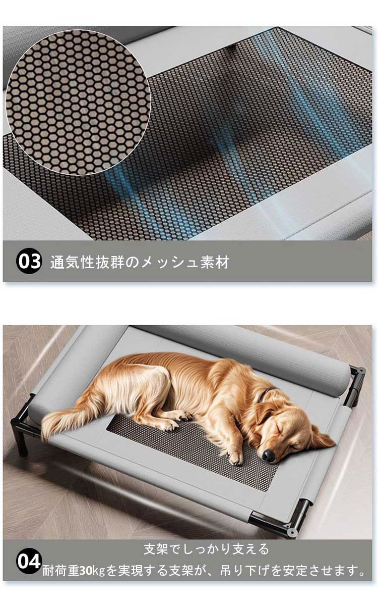 サンプル画像2
