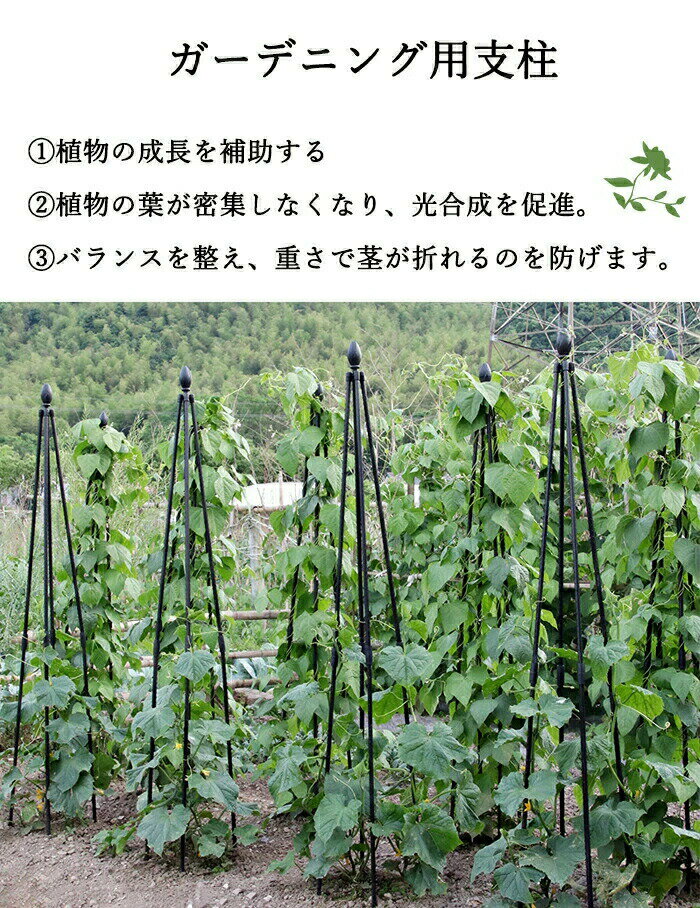 楽天市場】ローズスティック（花・ガーデン・DIY）の通販