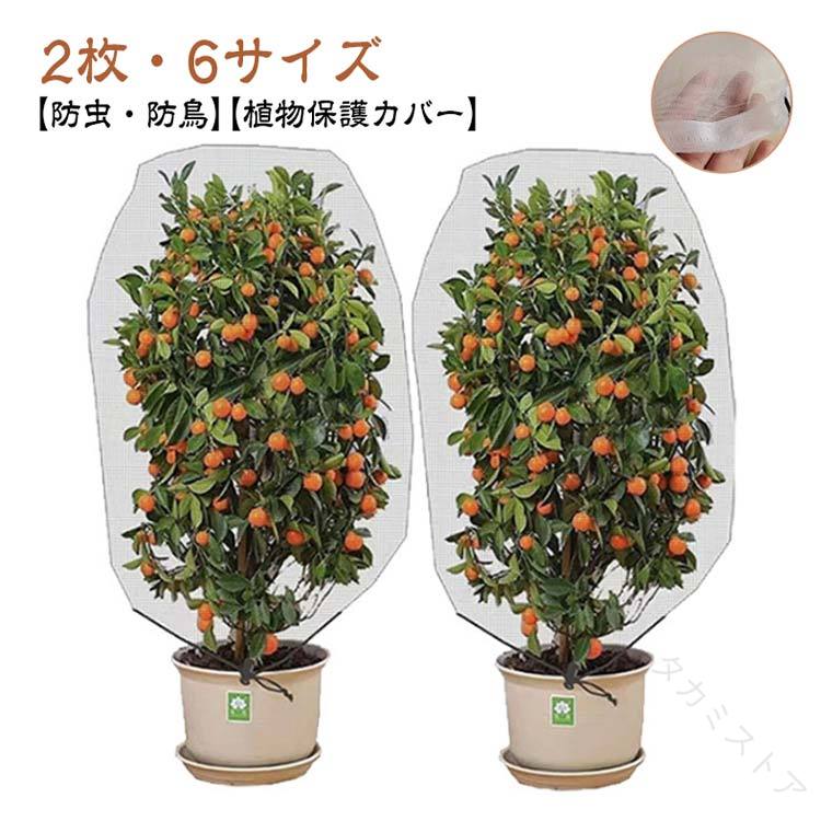 みかん 防虫 ネット 2個セット 植物 保護 カバー 網 透明 通気性 虫 鳥 除け ホワイト 花壇 適用 鉢植え 用 ベランダ DIY 果樹園 菜園 園芸 栽培 野菜 プランター