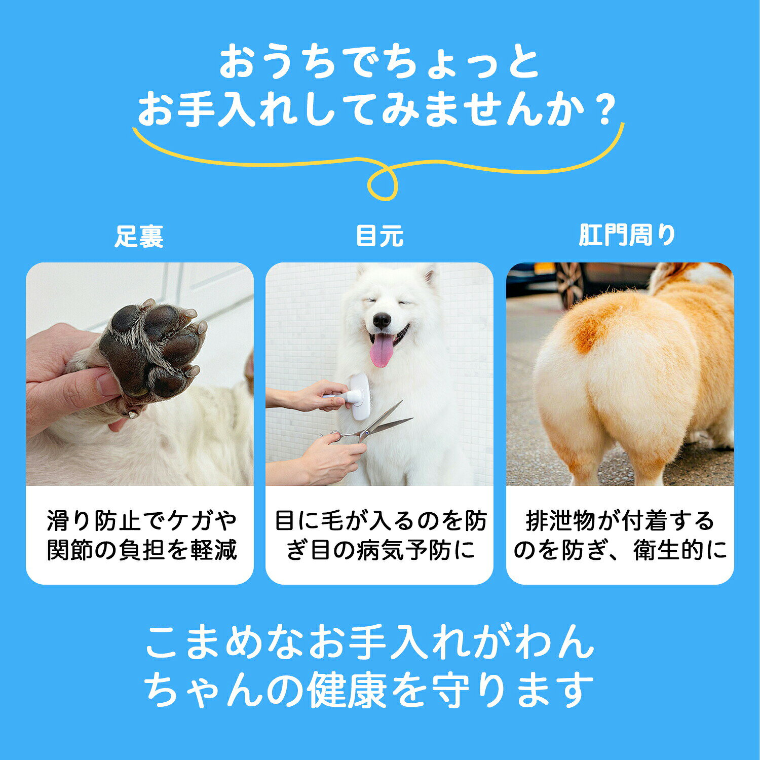 トリミングシザー 6点セット 犬 猫 スキバサミ セニング カット ハサミ コーム付き ペット用トリミング 初心者〜プロ対応 シュナウザー犬種 お手入れ用美容シザー 中型犬 小型犬 happystream-10026421 ハッピーストリーム サンプル画像2