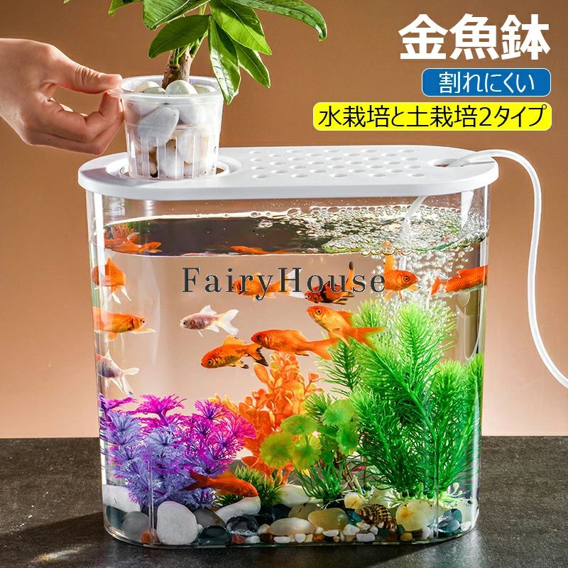 楽天市場】水槽 オブジェ（金魚鉢｜水槽・アクアリウム）：熱帯魚