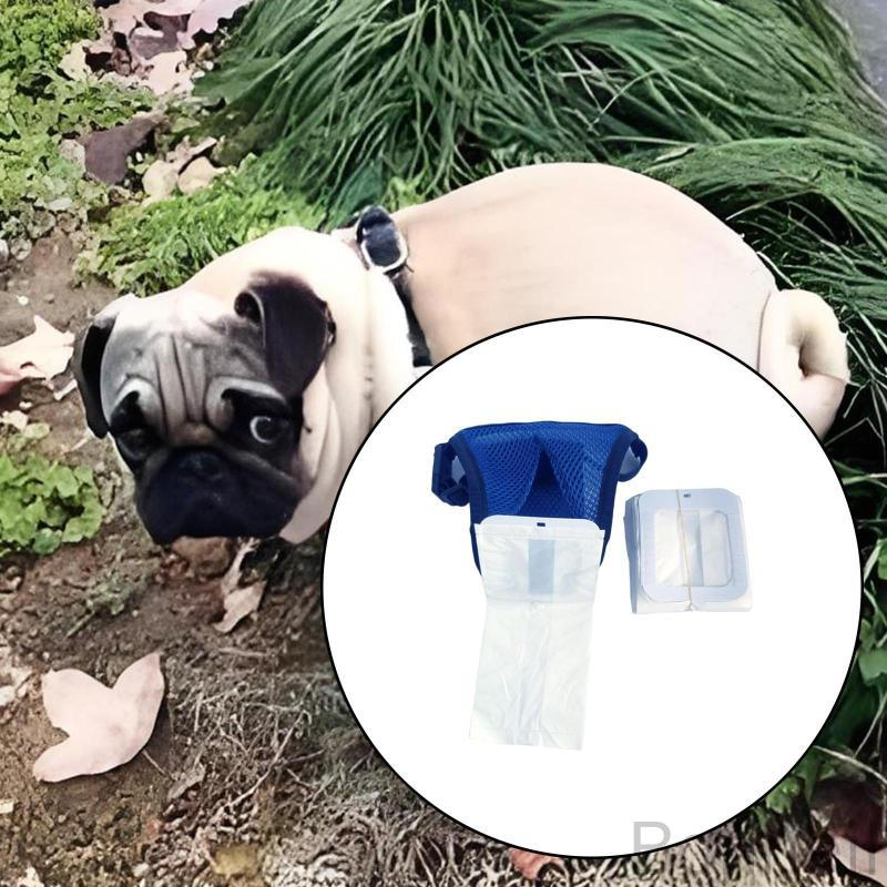 快適な犬用うんち・排泄物収集パンツ おむつカバー 排泄物収集バッグ10枚付き ペット用排泄ケア用品 高吸収で漏れにくい介護用品