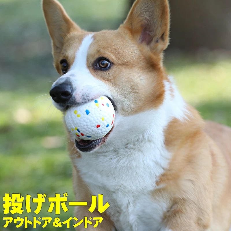 商品説明 材質 ETPU。 ポイント ●振り回したり、引っ張っても、壊れにくい！ ●犬でもよく見える色で、見つけやすい； ●犬の嗅覚を刺激しないために、無臭のETPU素材を使用； ●弾力性に優れた素材で、歯や歯ぐきを傷つけません！ 遊び方 ヨーロッパやアメリカで大人気！ 更に水遊びもできちゃう！ ●ランニング・レトリーブ 狭い場所でも二つのプラーを使えば効率良い運動ができる。 初心者でも簡単に転がすことができますので、 あなたも愛犬も楽しめます。 ※レトリーブとは、飼い主が投げたおもちゃなどを持って帰ってくること。 ●歯を傷めずにストレス解消。 頭の動きも活発になる。 ●ジャンプやキャッチの運動がテンポよく行える。 ブラなら動きの組み合わせで遊びのバリエーションが無限大 短い時間で、高い運動量 2個買いなら連続的に遊べ、 集中力を切らせません。 身体だけでなくたくさん頭を使うので、 短い時間でも大満足。 某社の測定データによると、 20分間のシンプルな運動で5kgのランニングに匹敵する。 愛犬との絆を深める 「次は何？」 「どんな遊びをするの？」 「何をしてくれるの？」 人の気持ちを読み取り、 コミュニケーションの仕方を学べます。 ご注意 ・ペットのおもちゃ以外の用途では使用しないでください。 ・破損箇所が見つかった場合はただちに使用を中止してください。 ・使用しないときは、ペットやお子様の手の届く場所に放置しないでください。 ・障害物や火気の近くで使用せず、周囲に危険がないことをご確認ください。 ・遊び方によっては短時間で壊れてしまう場合もあります。 ・写真の色はご使用のモニターの機種や設定により実際の商品と異なる場合がございます。