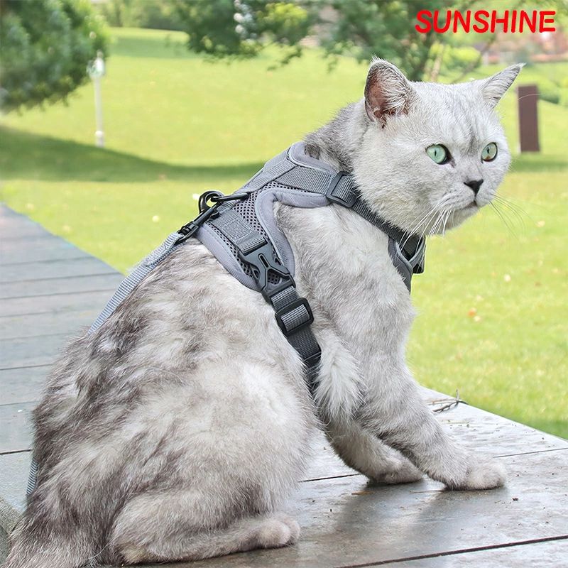 リード 犬用ハーネス 猫用ハーネス 丈夫 超小型犬 リート付き 花見 セットアップ ...
